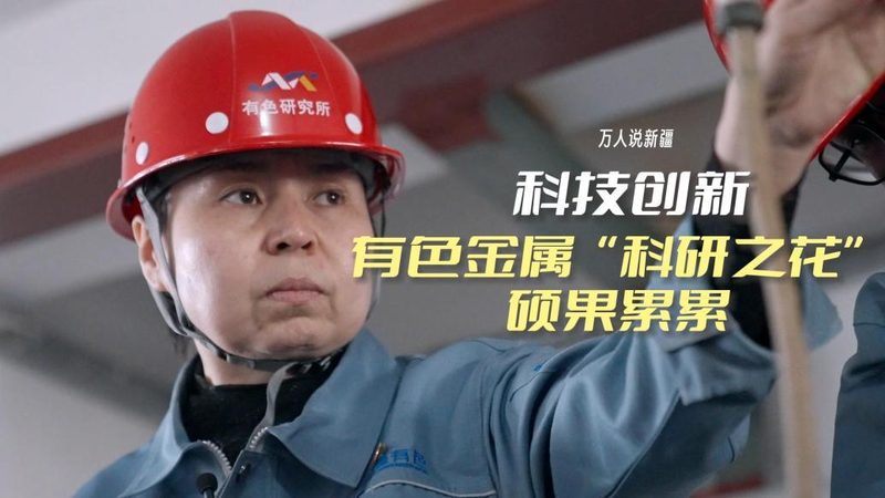软件测试文档模板：构建高效测试流程的基石